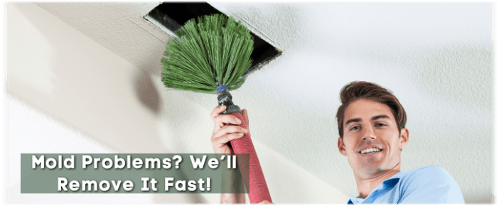 Air Duct Mold Removal in New Bedford