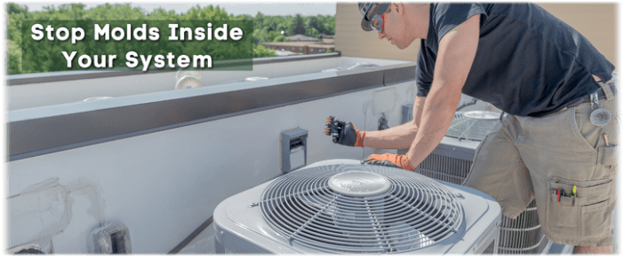 HVAC Mold Removal New Bedford
